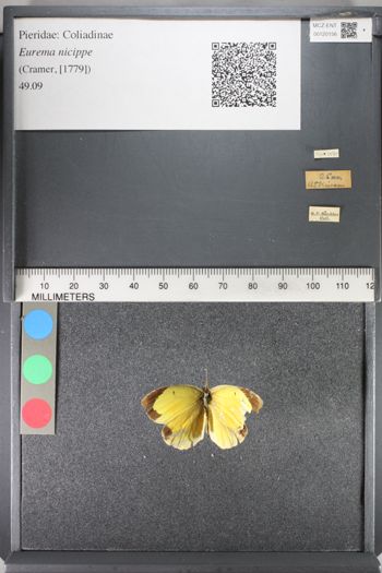 Media type: image;   Entomology 120156